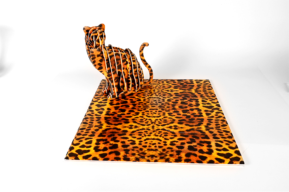 3D Foam Puzzle